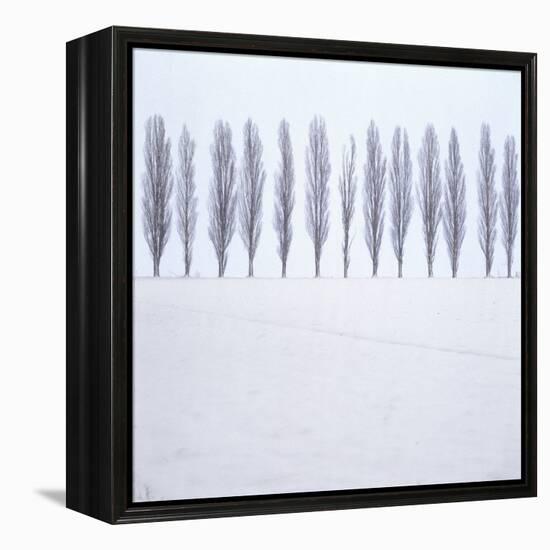 Landscape, Row of Trees, Winter-Roland T.-Framed Premier Image Canvas