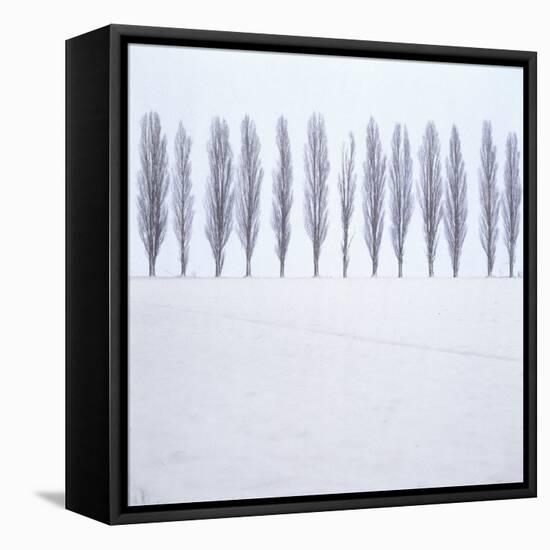 Landscape, Row of Trees, Winter-Roland T.-Framed Premier Image Canvas