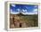 Landscape, Saguaro National Park, Arizona, USA-Massimo Borchi-Framed Premier Image Canvas