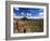 Landscape, Saguaro National Park, Arizona, USA-Massimo Borchi-Framed Photographic Print