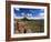 Landscape, Saguaro National Park, Arizona, USA-Massimo Borchi-Framed Photographic Print