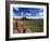 Landscape, Saguaro National Park, Arizona, USA-Massimo Borchi-Framed Photographic Print