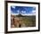 Landscape, Saguaro National Park, Arizona, USA-Massimo Borchi-Framed Photographic Print