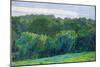 Landscape, Somerset, 1917 (Oil on Canvas)-Harold Gilman-Mounted Giclee Print