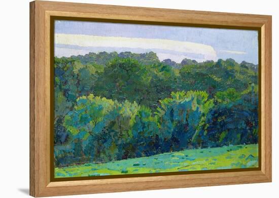 Landscape, Somerset, 1917 (Oil on Canvas)-Harold Gilman-Framed Premier Image Canvas