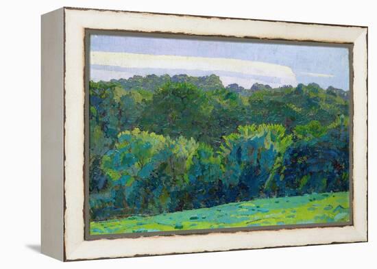 Landscape, Somerset, 1917 (Oil on Canvas)-Harold Gilman-Framed Premier Image Canvas