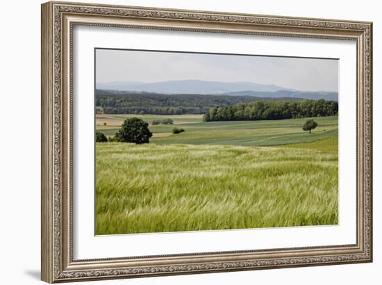 Landscape, Southern Burgenland, Austria-Rainer Schoditsch-Framed Photographic Print
