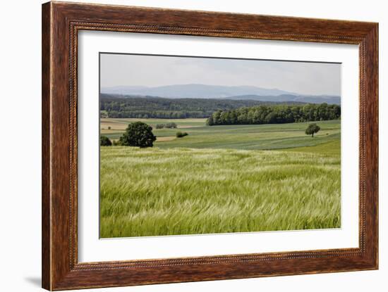 Landscape, Southern Burgenland, Austria-Rainer Schoditsch-Framed Photographic Print