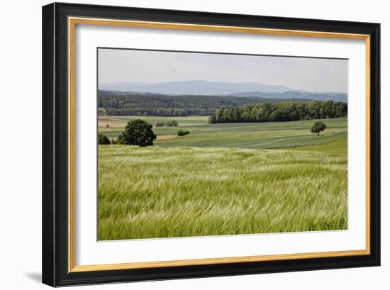 Landscape, Southern Burgenland, Austria-Rainer Schoditsch-Framed Photographic Print