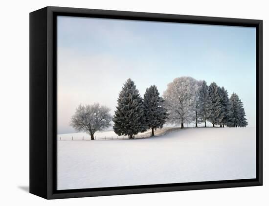 Landscape, Trees, Winter-Herbert Kehrer-Framed Premier Image Canvas