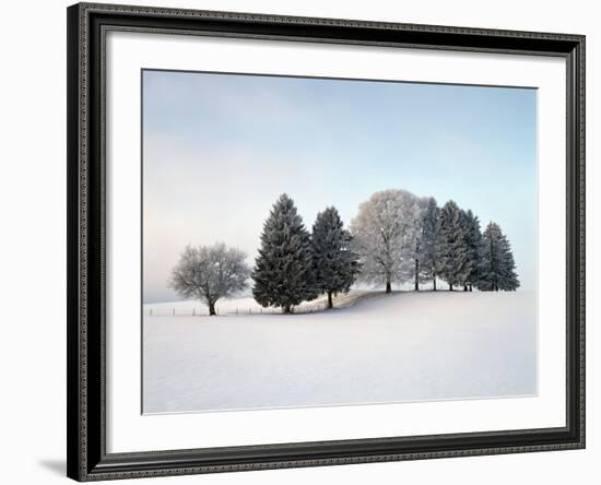 Landscape, Trees, Winter-Herbert Kehrer-Framed Photographic Print