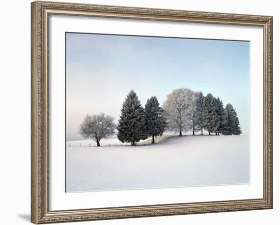 Landscape, Trees, Winter-Herbert Kehrer-Framed Photographic Print