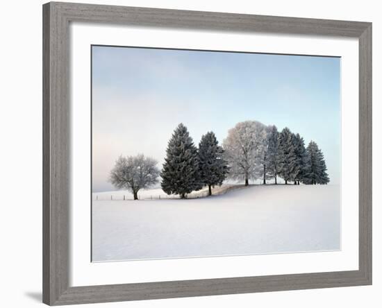 Landscape, Trees, Winter-Herbert Kehrer-Framed Photographic Print