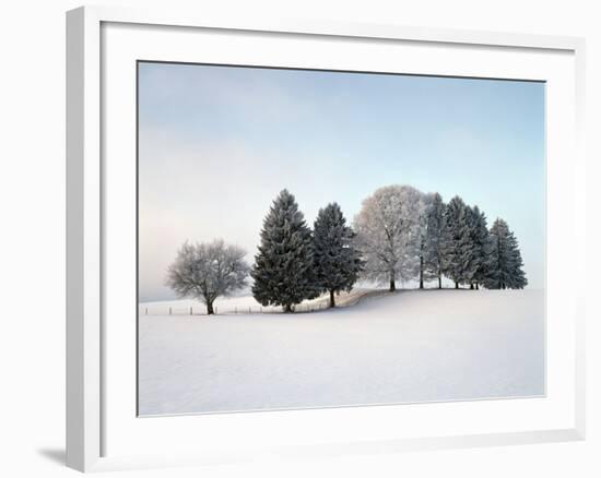 Landscape, Trees, Winter-Herbert Kehrer-Framed Photographic Print