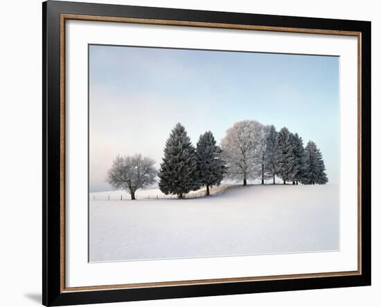 Landscape, Trees, Winter-Herbert Kehrer-Framed Photographic Print