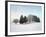 Landscape, Trees, Winter-Herbert Kehrer-Framed Photographic Print