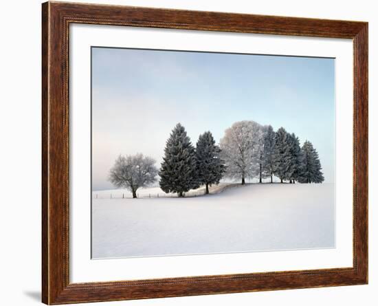 Landscape, Trees, Winter-Herbert Kehrer-Framed Photographic Print