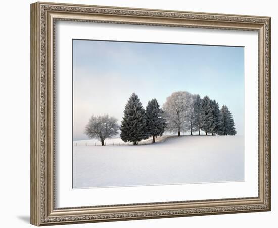 Landscape, Trees, Winter-Herbert Kehrer-Framed Photographic Print