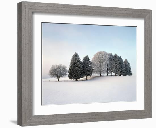 Landscape, Trees, Winter-Herbert Kehrer-Framed Photographic Print