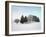 Landscape, Trees, Winter-Herbert Kehrer-Framed Photographic Print