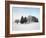 Landscape, Trees, Winter-Herbert Kehrer-Framed Photographic Print