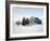 Landscape, Trees, Winter-Herbert Kehrer-Framed Photographic Print