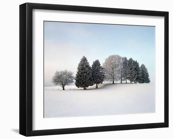 Landscape, Trees, Winter-Herbert Kehrer-Framed Photographic Print