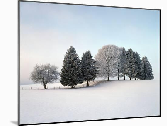 Landscape, Trees, Winter-Herbert Kehrer-Mounted Photographic Print