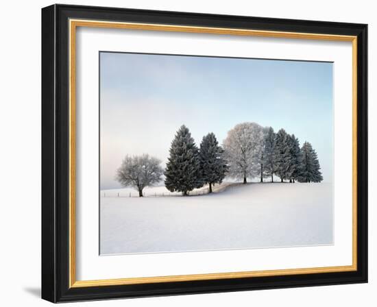 Landscape, Trees, Winter-Herbert Kehrer-Framed Photographic Print