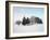 Landscape, Trees, Winter-Herbert Kehrer-Framed Photographic Print