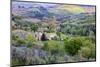 Landscape view from the top of the walls of San Gimignano. Tuscany, Italy.-Tom Norring-Mounted Photographic Print