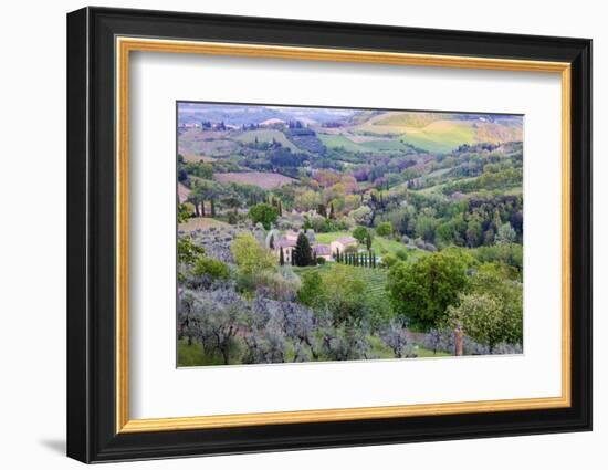 Landscape view from the top of the walls of San Gimignano. Tuscany, Italy.-Tom Norring-Framed Photographic Print