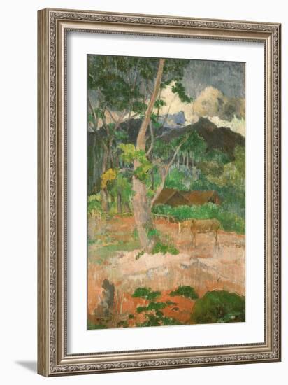 Landscape with a Horse, 1899-Paul Gauguin-Framed Giclee Print