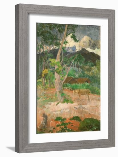 Landscape with a Horse, 1899-Paul Gauguin-Framed Giclee Print