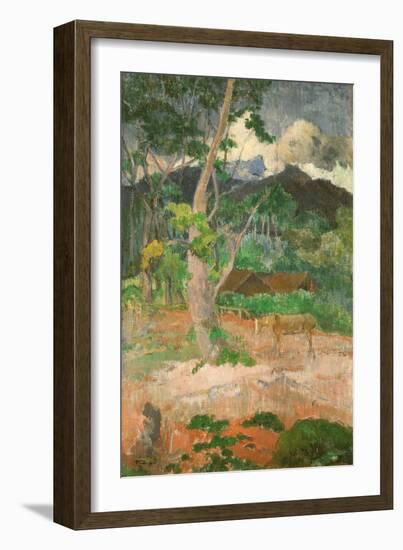 Landscape with a Horse, 1899-Paul Gauguin-Framed Giclee Print