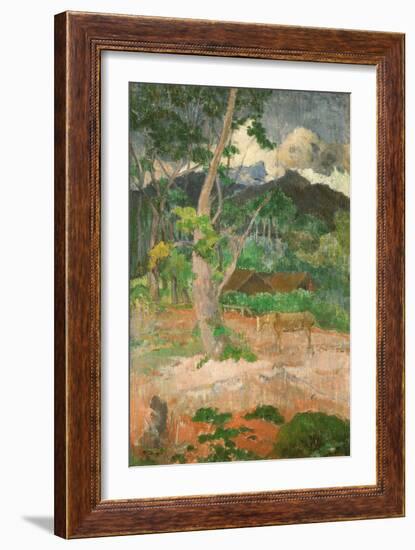 Landscape with a Horse, 1899-Paul Gauguin-Framed Giclee Print