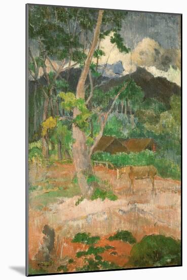 Landscape with a Horse, 1899-Paul Gauguin-Mounted Giclee Print