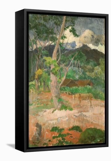 Landscape with a Horse, 1899-Paul Gauguin-Framed Premier Image Canvas