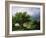 Landscape with a Mill-Barend Cornelis Koekkoek-Framed Giclee Print