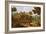 Landscape with a River-Etienne Allegrain-Framed Giclee Print