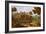 Landscape with a River-Etienne Allegrain-Framed Giclee Print