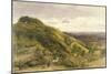 Landscape with a Woman Driving Sheep-Samuel Palmer-Mounted Giclee Print