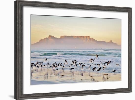 Landscape with Beach and Table Mountain at Sunrise-Werner Lehmann-Framed Photographic Print