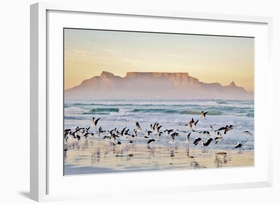 Landscape with Beach and Table Mountain at Sunrise-Werner Lehmann-Framed Photographic Print