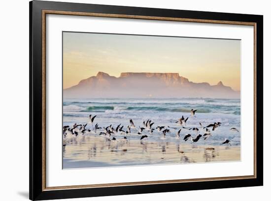 Landscape with Beach and Table Mountain at Sunrise-Werner Lehmann-Framed Photographic Print