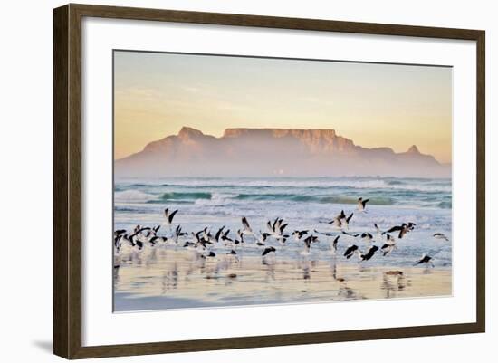 Landscape with Beach and Table Mountain at Sunrise-Werner Lehmann-Framed Photographic Print