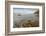 Landscape with beach of Pacific Ocean, Sinkyone Wilderness State Park, California, USA-Panoramic Images-Framed Photographic Print