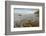 Landscape with beach of Pacific Ocean, Sinkyone Wilderness State Park, California, USA-Panoramic Images-Framed Photographic Print