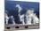 Landscape with Bison and Steam from Geysers, Yellowstone National Park, Wyoming Us-Pete Cairns-Mounted Premium Photographic Print