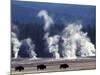 Landscape with Bison and Steam from Geysers, Yellowstone National Park, Wyoming Us-Pete Cairns-Mounted Photographic Print